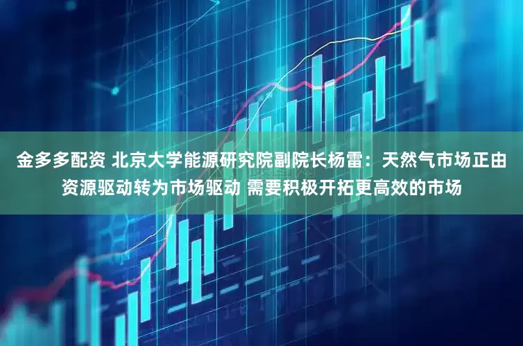 金多多配资 北京大学能源研究院副院长杨雷：天然气市场正由资源驱动转为市场驱动 需要积极开拓更高效的市场