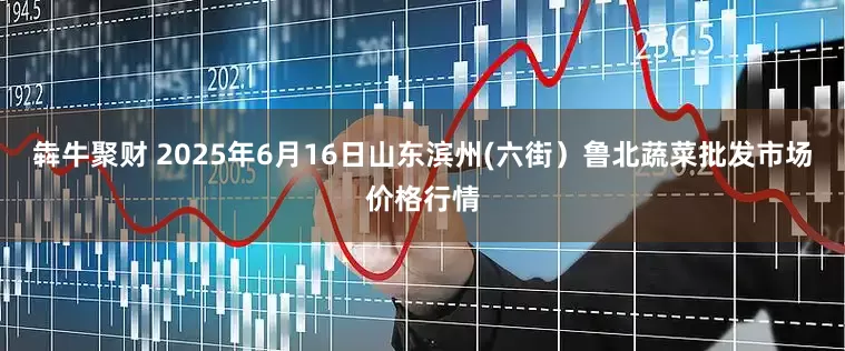 犇牛聚财 2025年6月16日山东滨州(六街)鲁北蔬菜批发市场价格行情