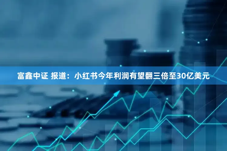 富鑫中证 报道：小红书今年利润有望翻三倍至30亿美元