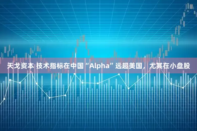 天戈资本 技术指标在中国“Alpha”远超美国，尤其在小盘股