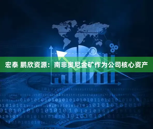 宏泰 鹏欣资源：南非奥尼金矿作为公司核心资产