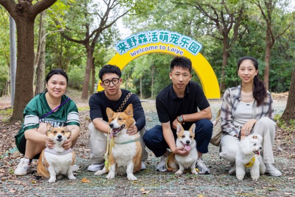 赢金配资网 宠物也有专属乐园？来看金山这个村的“萌宠经济”新玩法